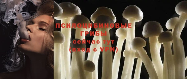 прущие крисы Белокуриха