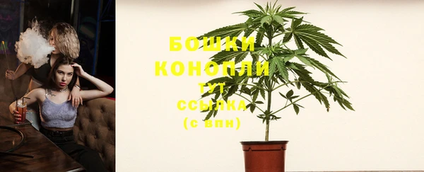 прущие крисы Белокуриха