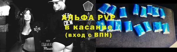 прущие крисы Белокуриха