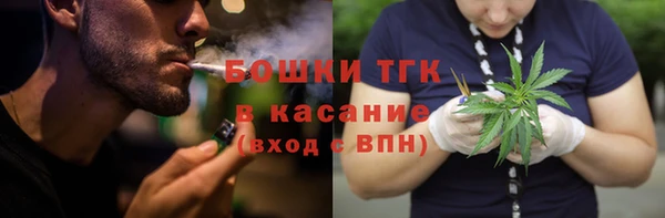 прущие крисы Белокуриха