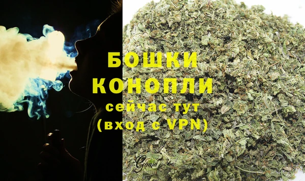 прущие крисы Белокуриха