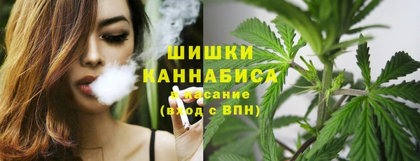 прущие крисы Белокуриха