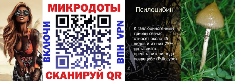 закладки  Малая Вишера  Псилоцибиновые грибы мухоморы 