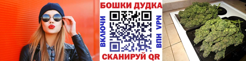 купить наркотик  Малая Вишера  Канабис Bruce Banner 